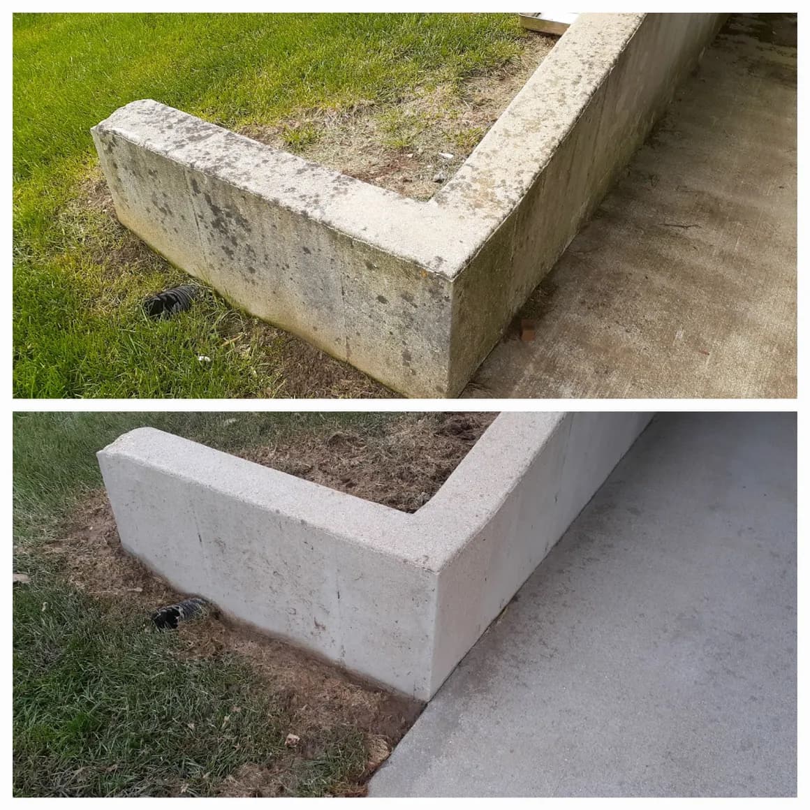 Concrete planter wall: before cleaning at the top, after cleaning at the bottom